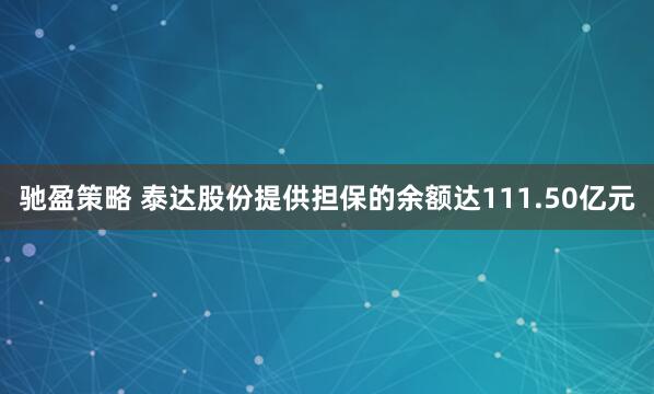 驰盈策略 泰达股份提供担保的余额达111.50亿元